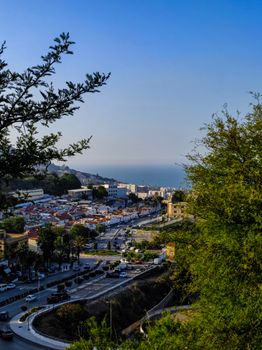 A picturesque aerial view of Algiers city and coastline, surrounded by lush greenery under a clear blue sky.