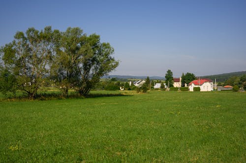 Village Seen from Meadow