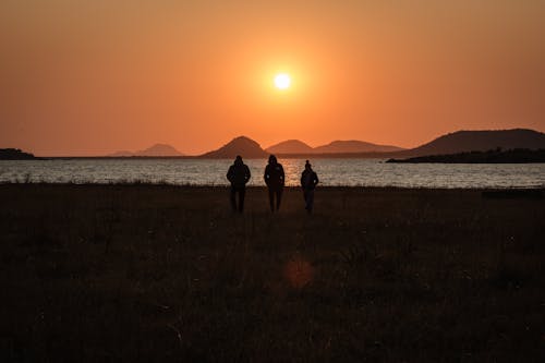 Foto d'estoc gratuïta de a l'aire lliure, amics, aventura