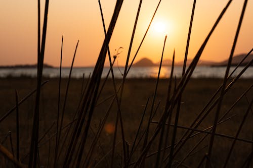 Foto d'estoc gratuïta de a l'aire lliure, botswana, brillant