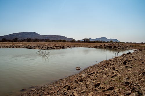 Foto d'estoc gratuïta de a l'aire lliure, acomiadar-se, aigua