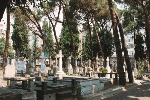 Serene urban cemetery with rows of tombstones under tall trees, offering a tranquil setting for reflection.
