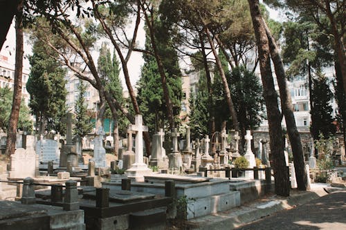 Free View of a Cemetery Stock Photo