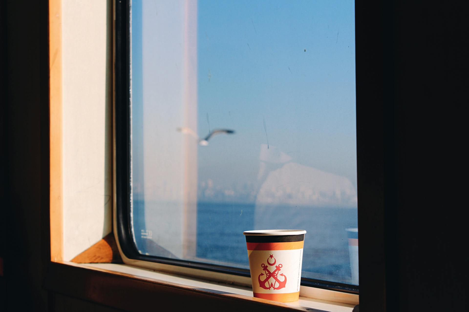 Disposable cup with nautical design on window ledge, overlooking the sea and bird in flight.