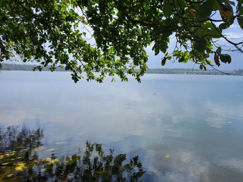 Free Railway track near backwaters Stock Photo