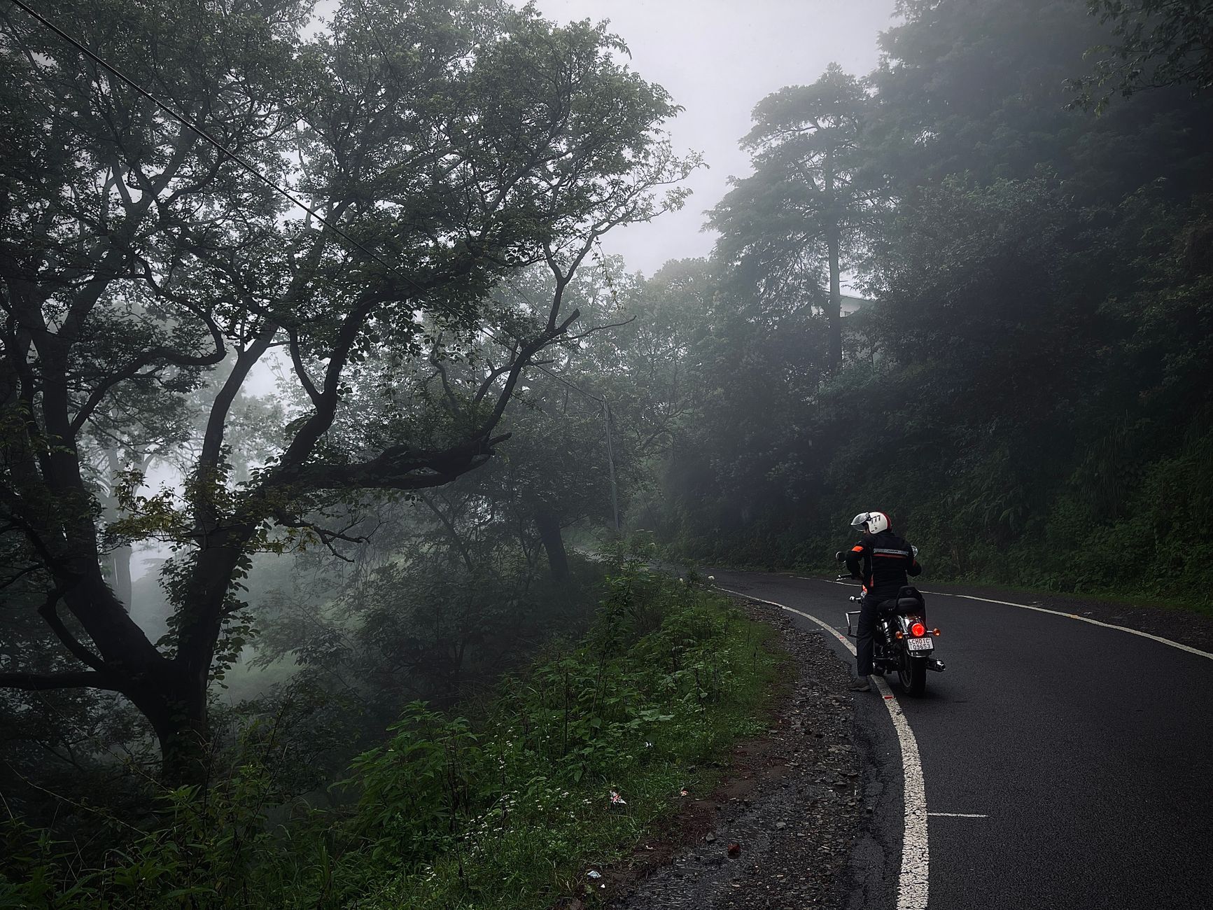A motorcyclist rides through a foggy forest, capturing a sense of travel and adventure.