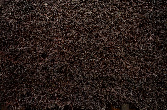 Close-up of natural branches forming a textured wall pattern. Ideal for spa settings.