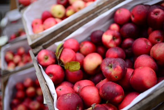 Vibrant, fresh red apples on display at an outdoor market, showcasing abundance and quality.