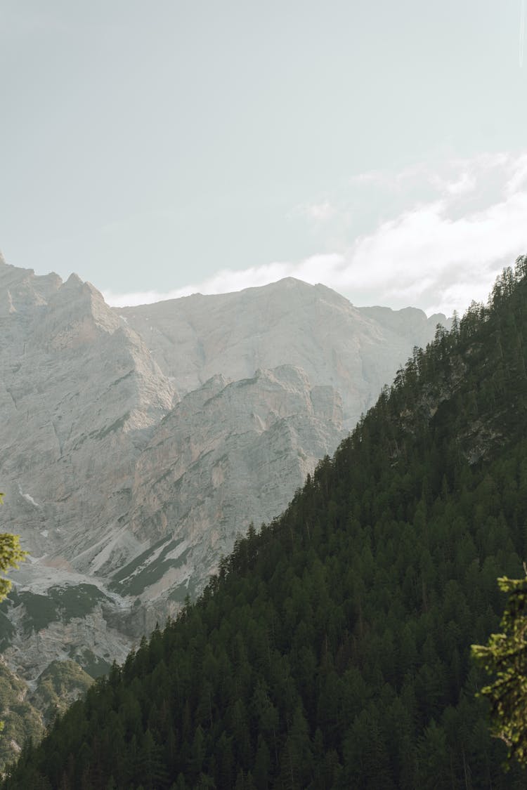 Rocky Mountain Behind Forest On Hill