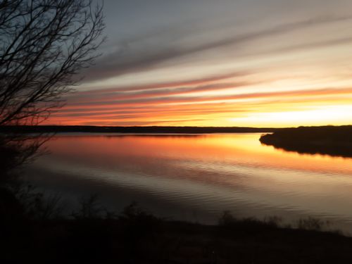 Free stock photo of bare tree, calm, calm waters Stock Photo