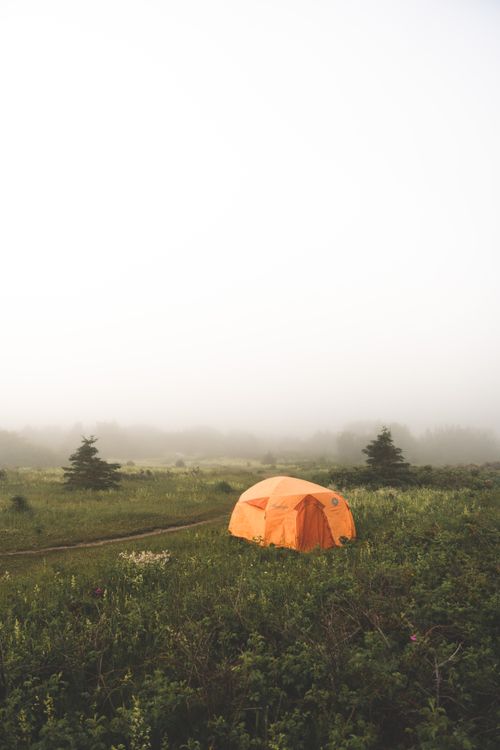 Free Orange tent in a foggy, lush landscape. Perfect for outdoor enthusiasts seeking solitude. Stock Photo