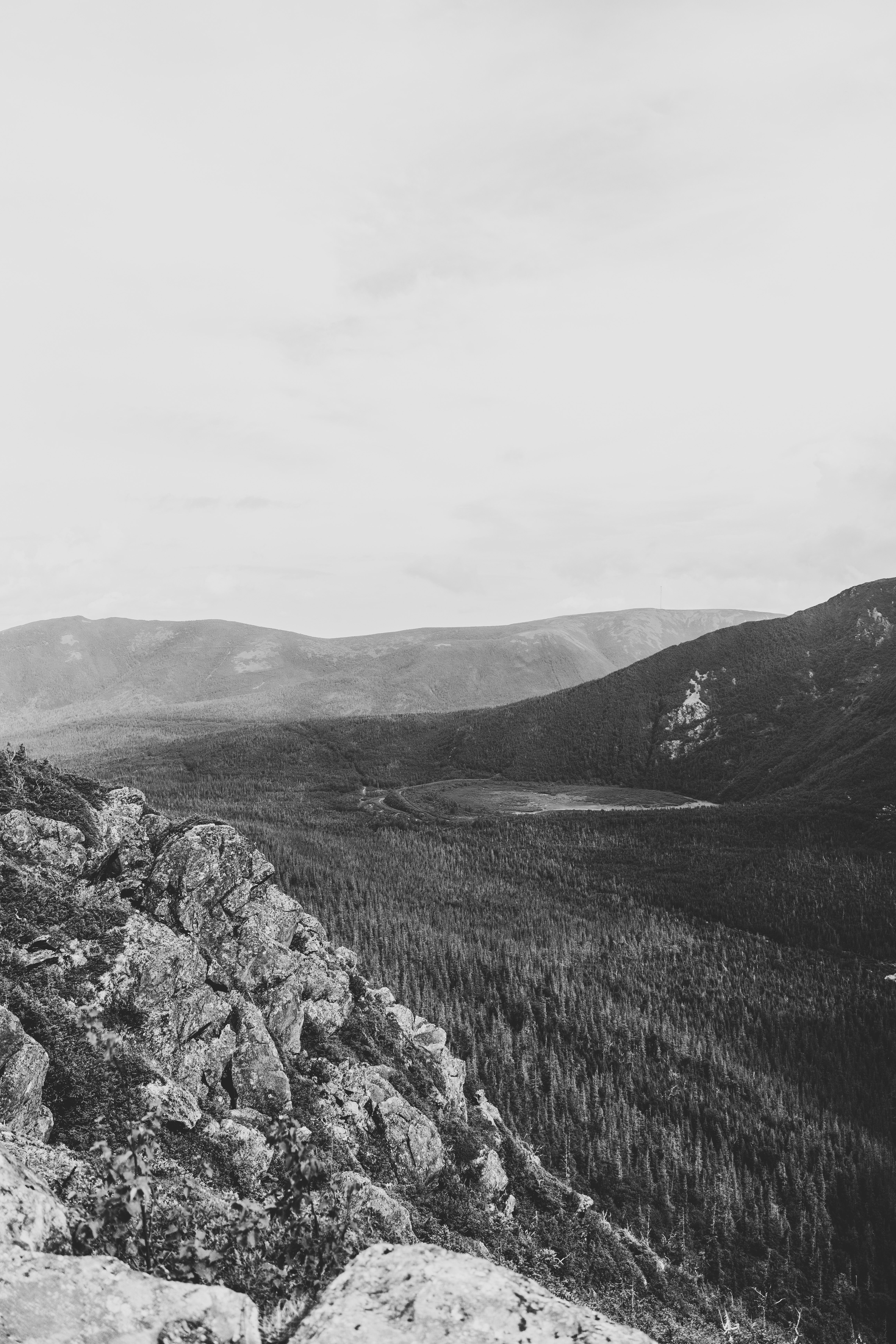 Stunning black and white view of a mountain range and forest in fog.