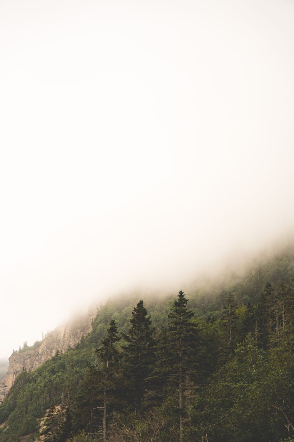A mountain covered in fog and trees · Free Stock Photo