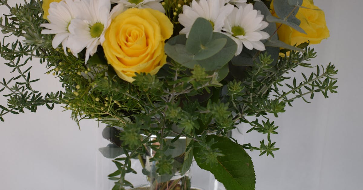 Free stock photo of Vase Roses