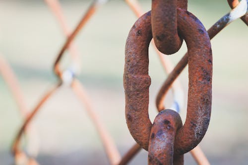 Free stock photo of chain, chain link fence, rust