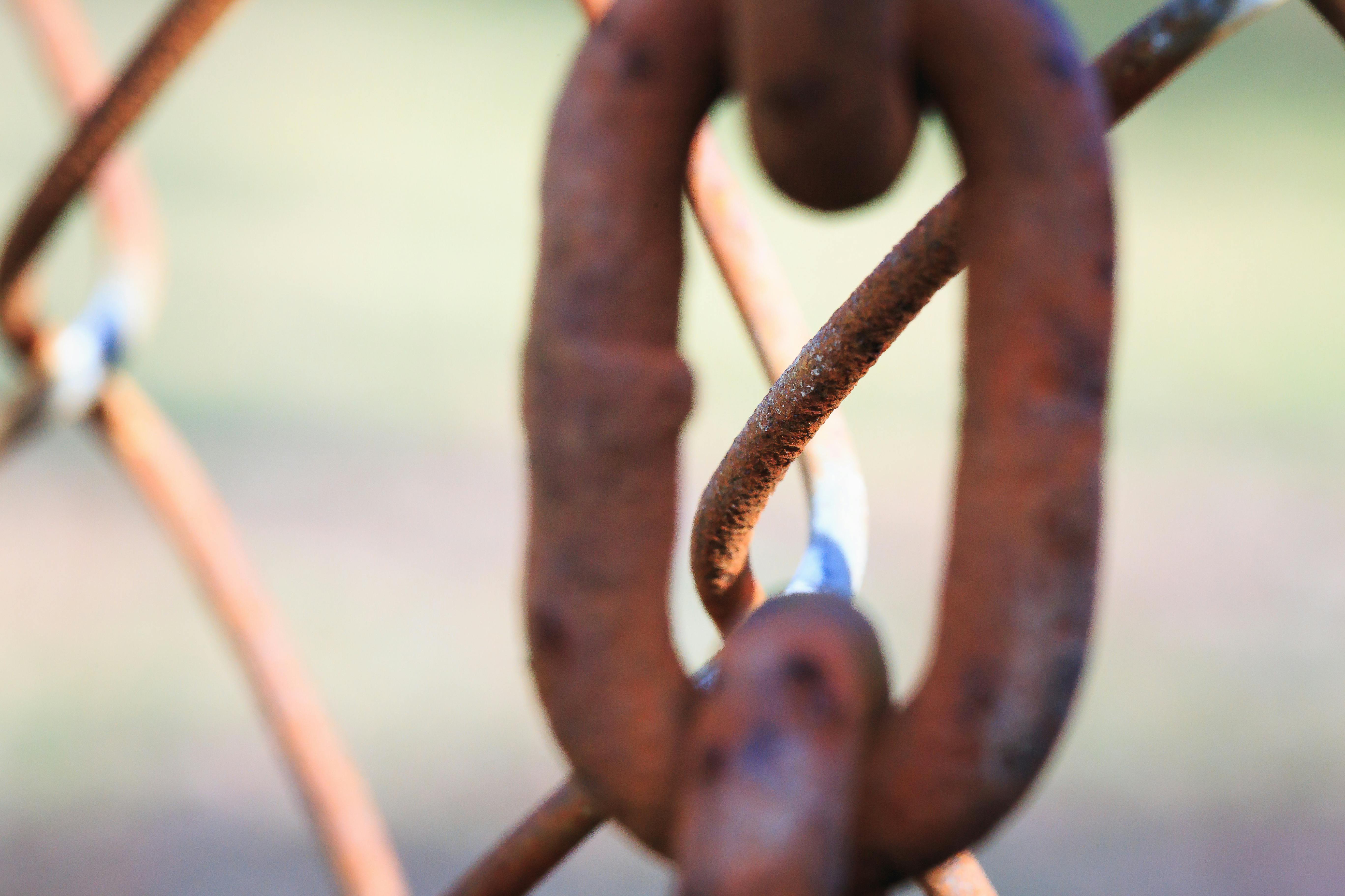 Free stock photo of chain, chain link fence, rust