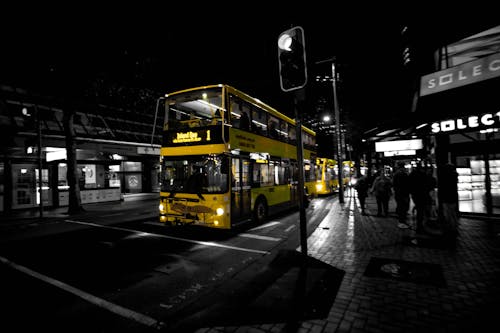 Foto profissional grátis de carro, fotografia de rua, wellington