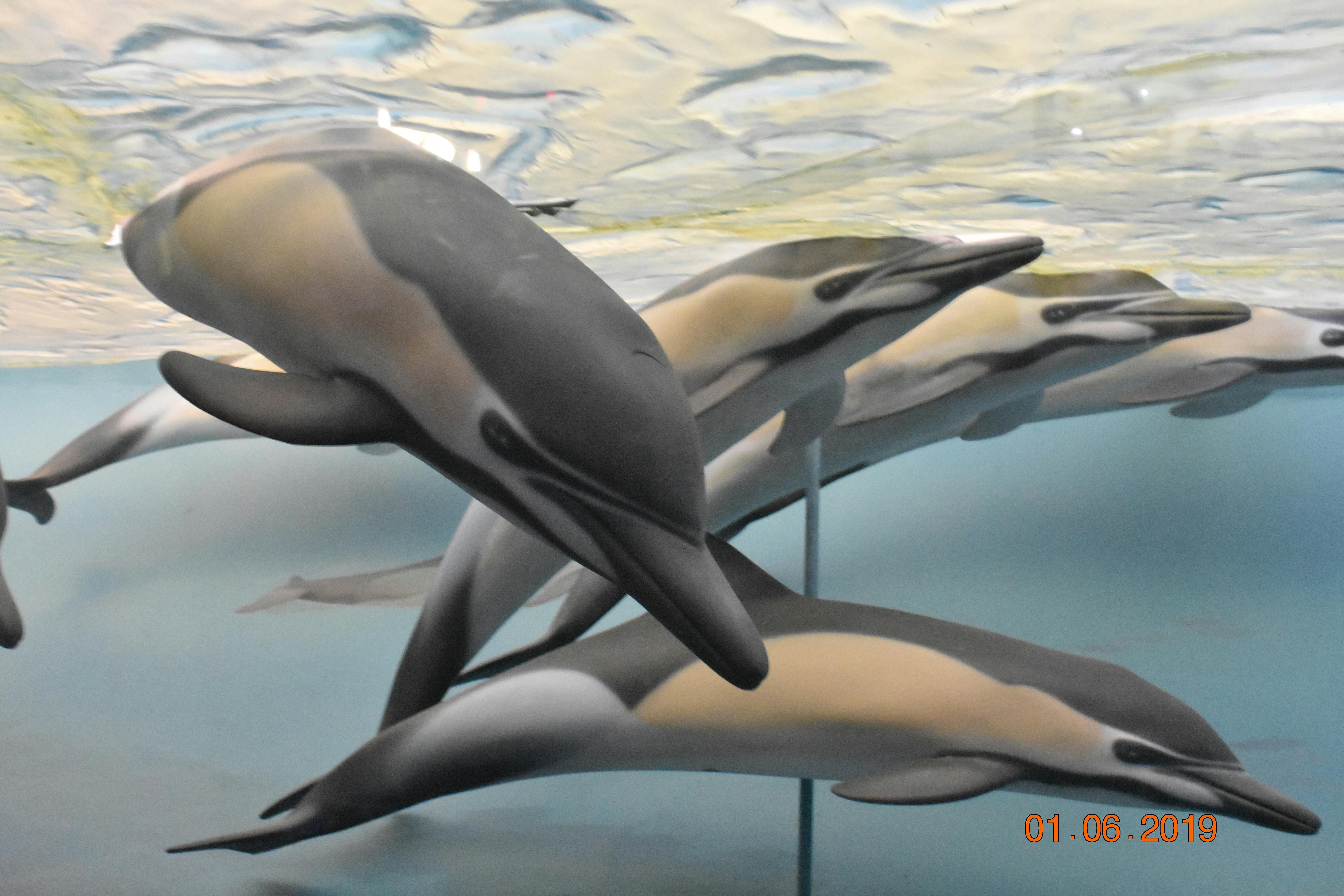 Experience true Desert Serenity amidst the vast, quiet dunes of Dubai at sunset, far from the city's hustle.