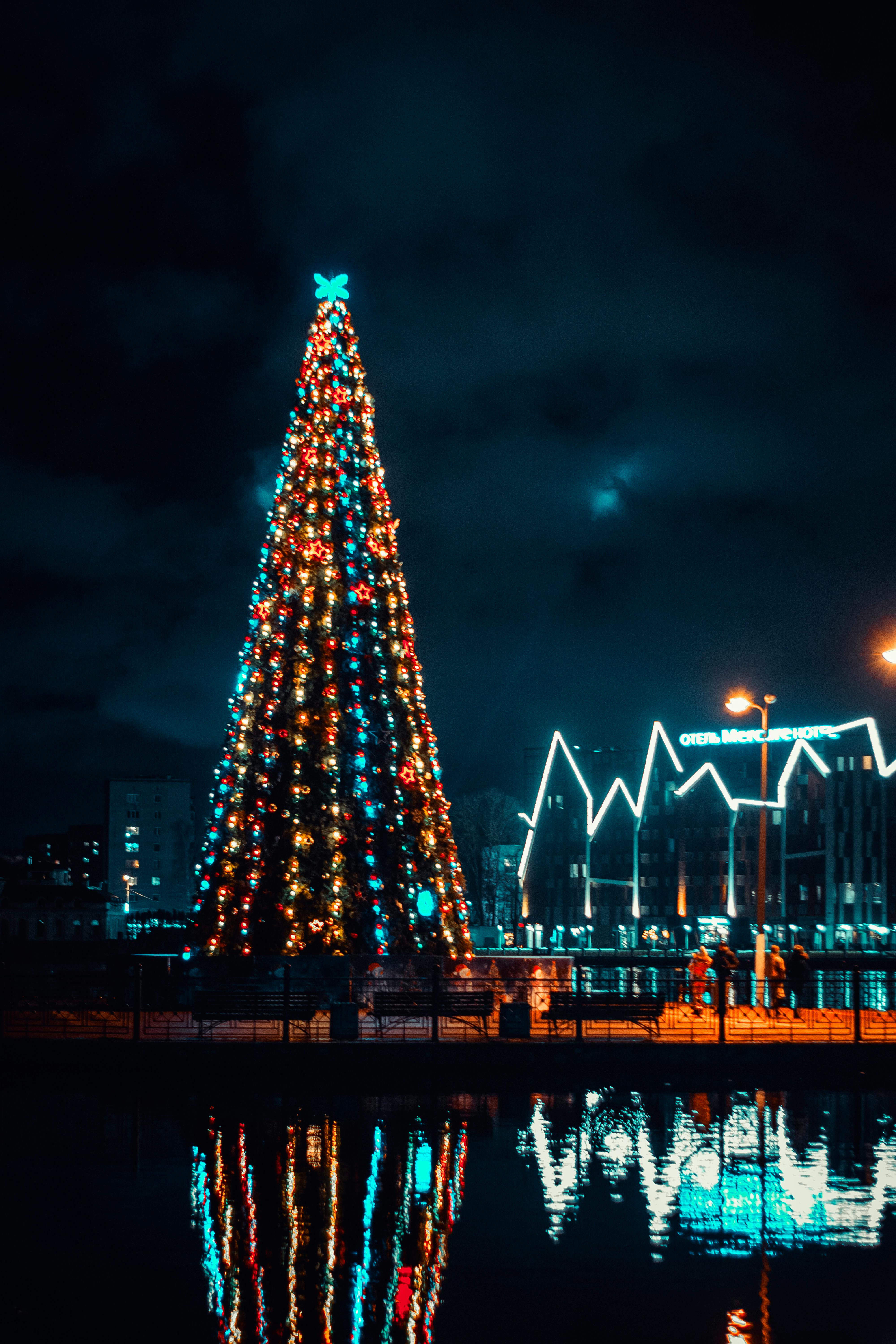 クリスマスツリー クリスマスの灯り 夜の無料の写真素材