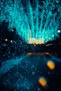 蓝色灯串的光芒迷人，为夜间漫步营造出令人惊叹的氛围