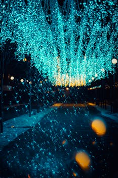 蓝色灯串的光芒迷人，为夜间漫步营造出令人惊叹的氛围