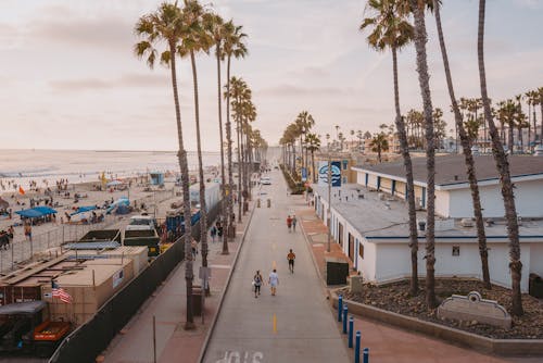 Street with Palm Tree near Beach in Town