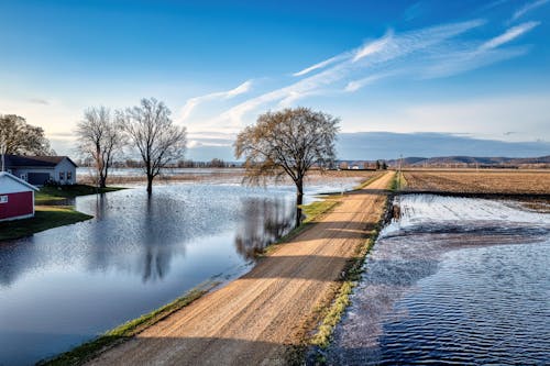 Dirt Road among Flooded Fields