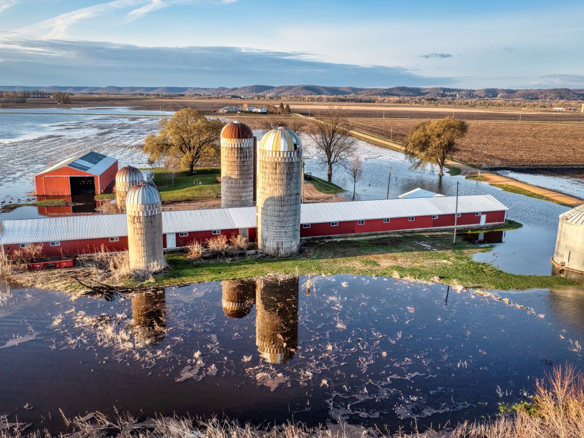 Aerial view of flooded farm buildings.