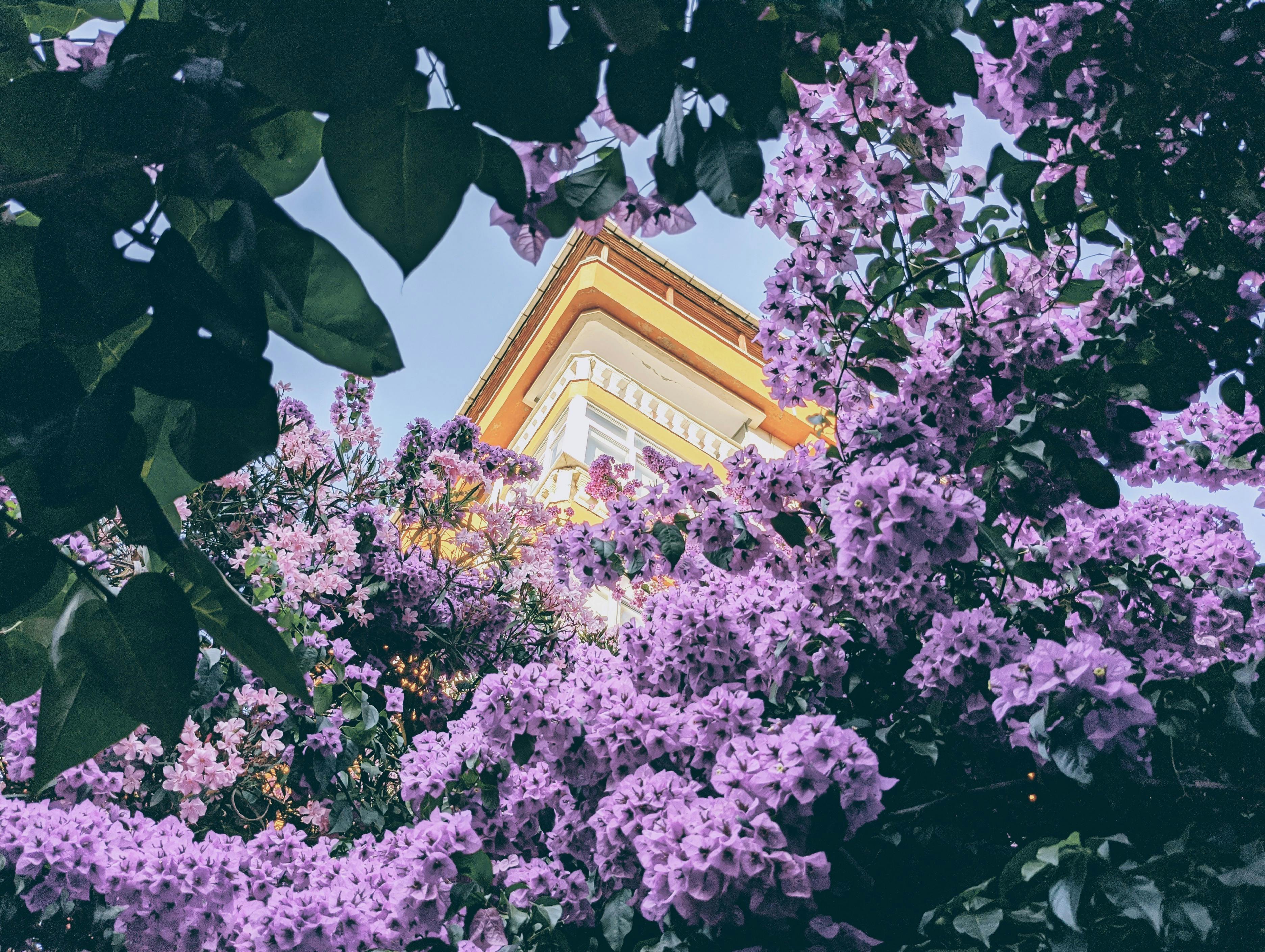 Lionel Messi in an Inter Miami jersey on the field