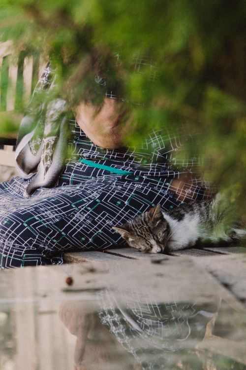 Free A serene scene of a kitten sleeping beside a resting person outdoors. Stock Photo
