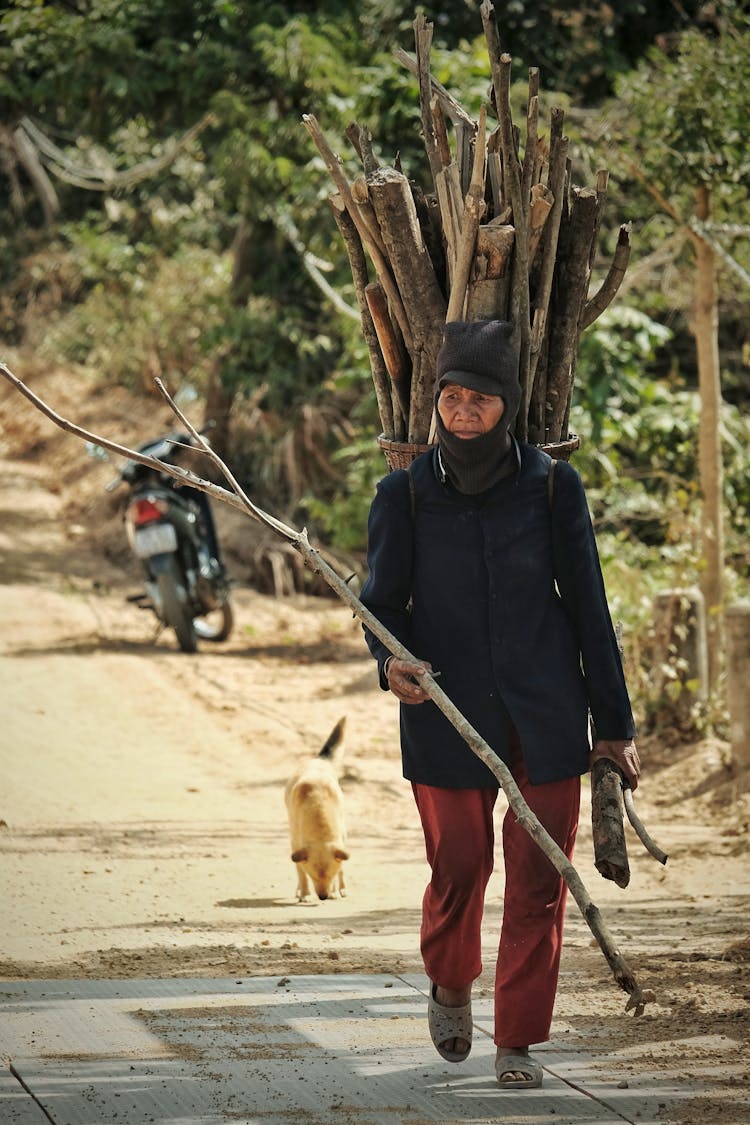 A Woman Carrying A Bundle Of Sticks And Branches 