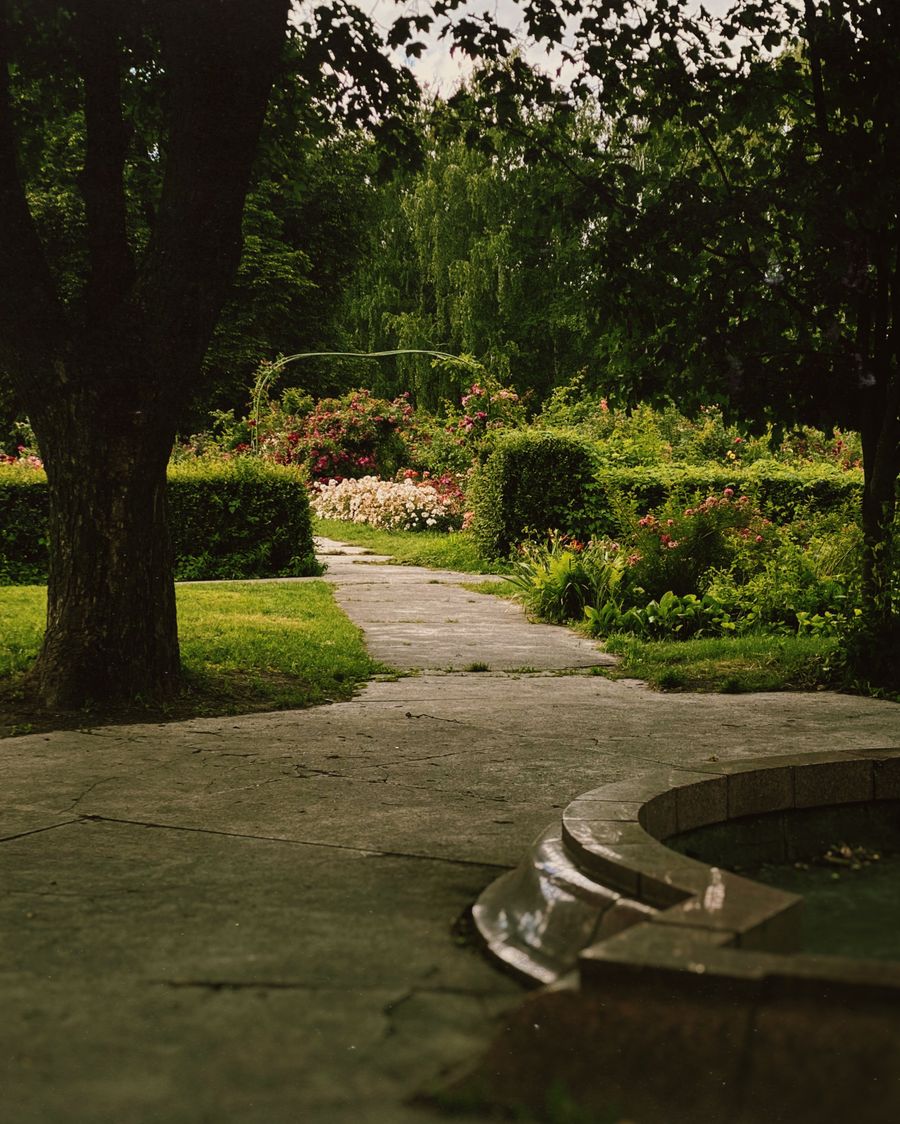 Stone path and step set into a summer garden border
