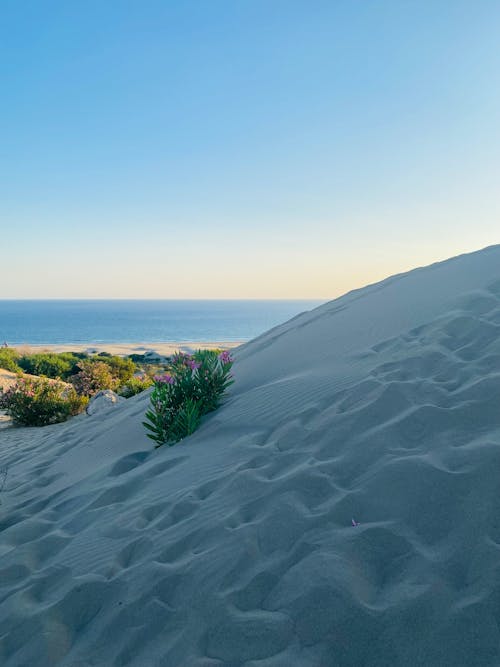 Sand Dune by Ocean