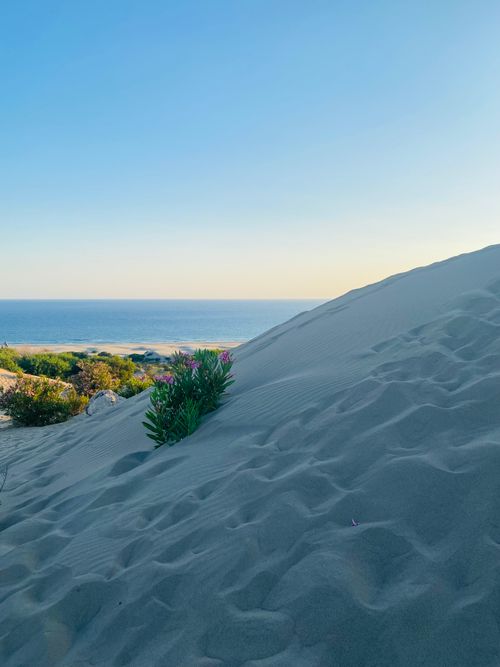 Free Scenic view of a sandy dune with ocean backdrop under a clear blue sky, perfect for serene nature themes. Stock Photo