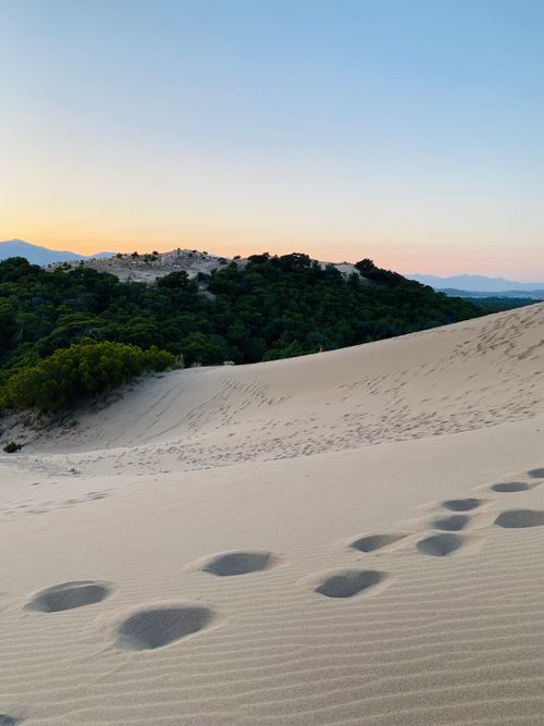 Free Footprints on serene sand dunes with lush greenery at sunset. Stock Photo