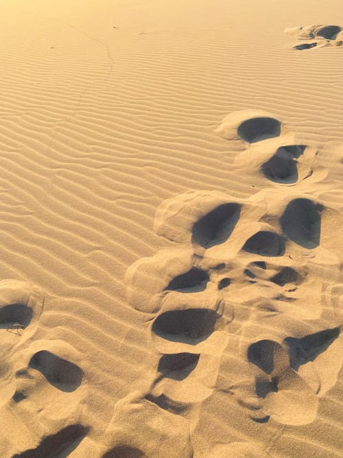 Tracks in Sand