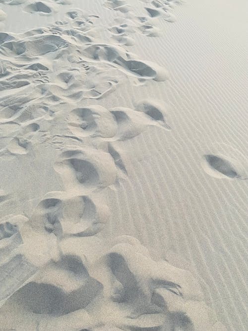 Tracks in Sand