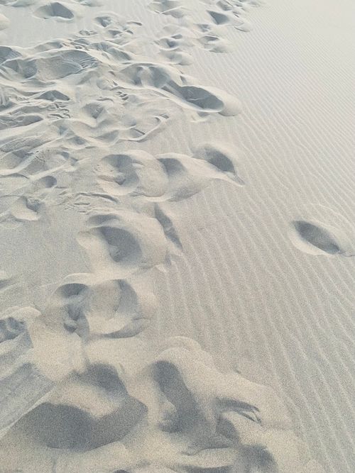 Free Tranquil desert scene with footprints and gentle sand ripples, showcasing nature's untouched beauty. Stock Photo
