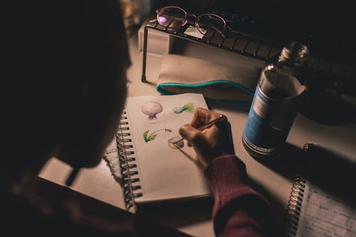 Esboço Feminino No Caderno De Desenho Espiral Branco