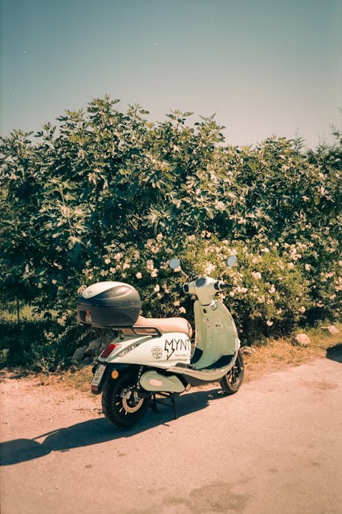 Motor Scooter on Sunlit Road