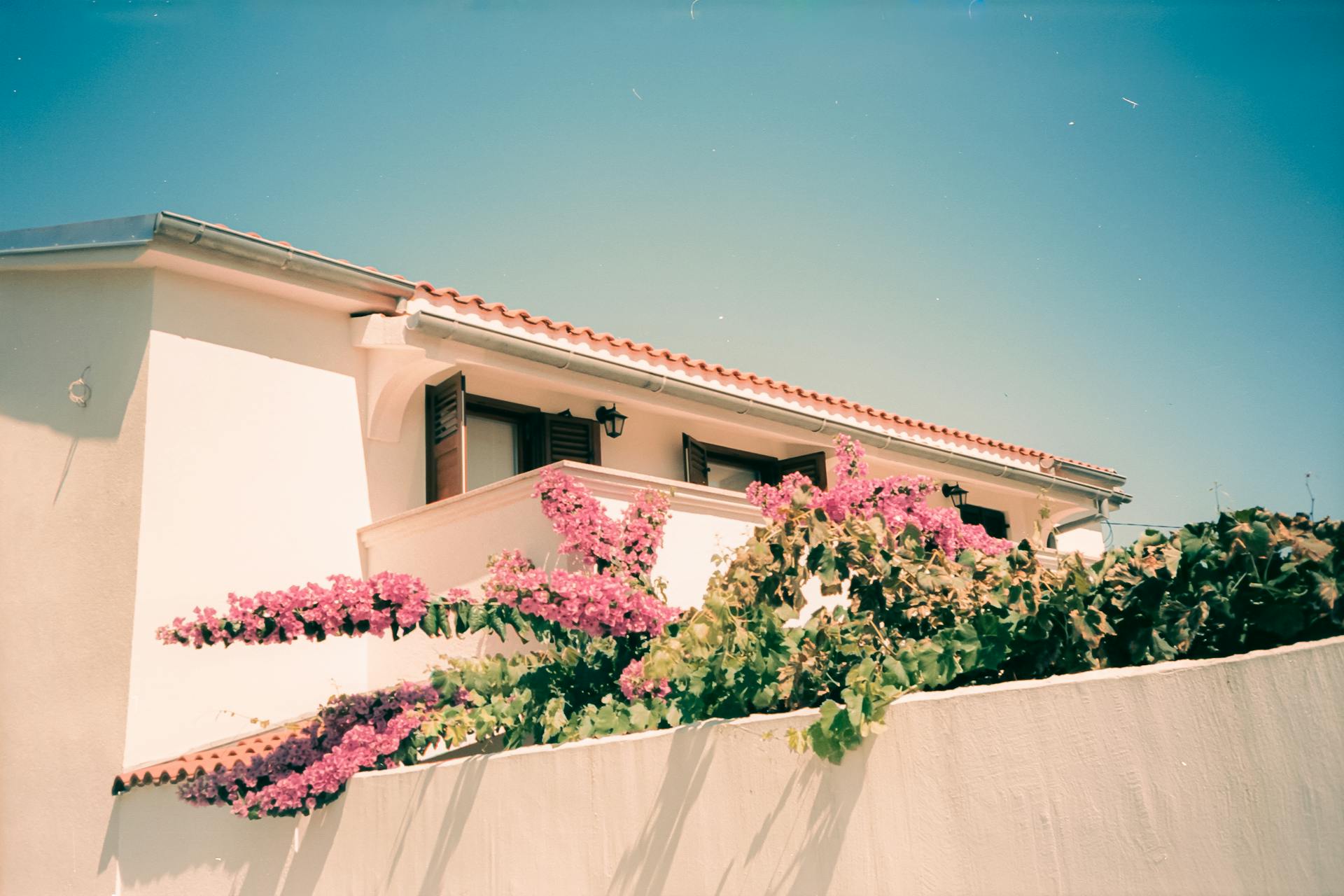 A Mediterranean house in Zadar with blooming bougainvillea under a clear blue sky.