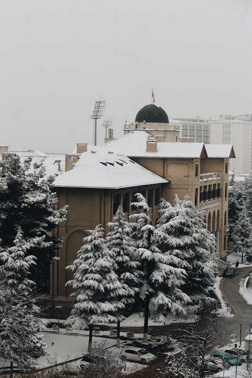 Building with Dome in Winter City