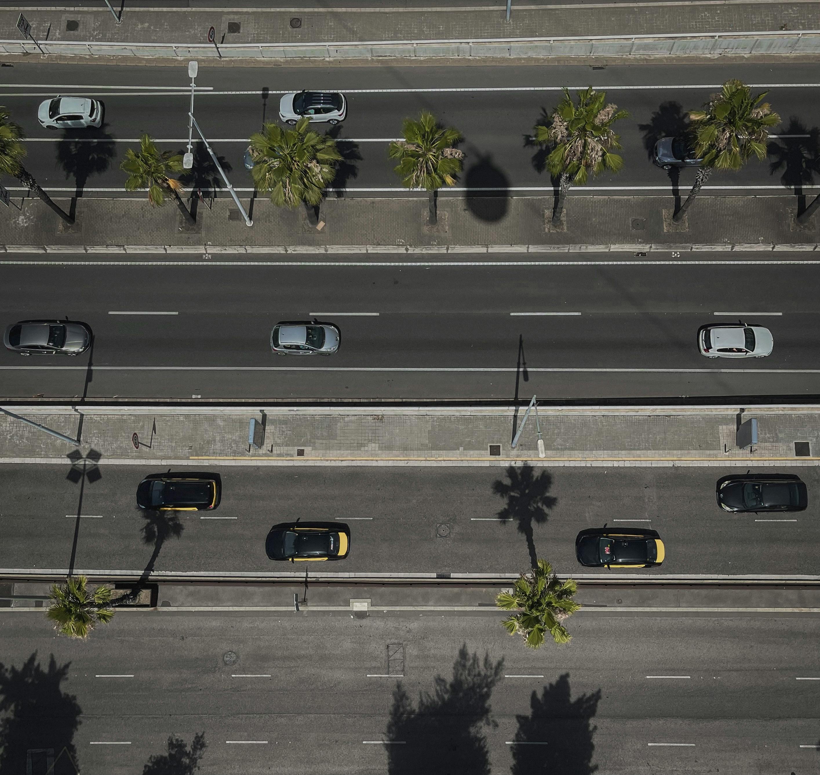 A top-down view of a busy urban street lined with palm trees, showing cars and taxis moving on the expressway.