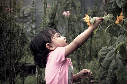 Girl Picking Up Flowers