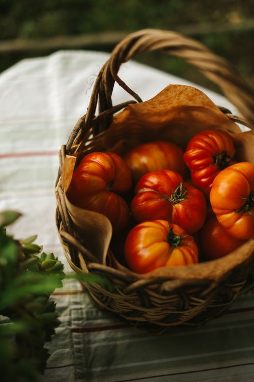 Free A wicker basket filled with fresh heirloom tomatoes on a table with a cloth. Stock Photo