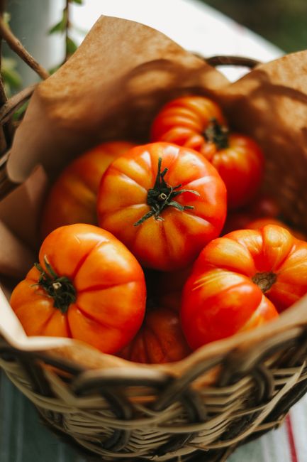 A basket filled with vibrant organic tomatoes captured in natural light, ideal for healthy eating concepts.