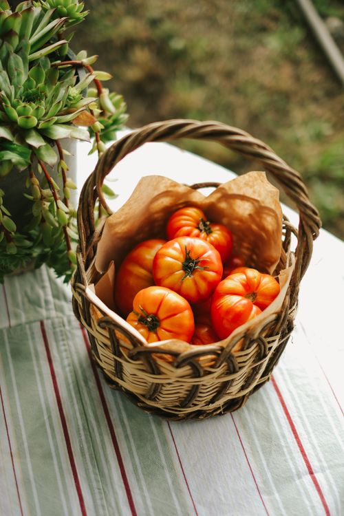 Free Fresh red tomatoes in a wicker basket on a striped tablecloth, adding a rustic touch. Stock Photo