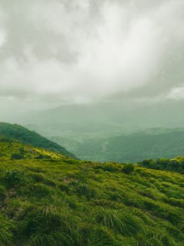 Serene landscape of misty green hills under a cloudy sky, capturing the calm of dawn.