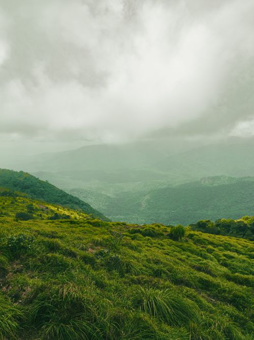 Free Serene landscape of misty green hills under a cloudy sky, capturing the calm of dawn. Stock Photo