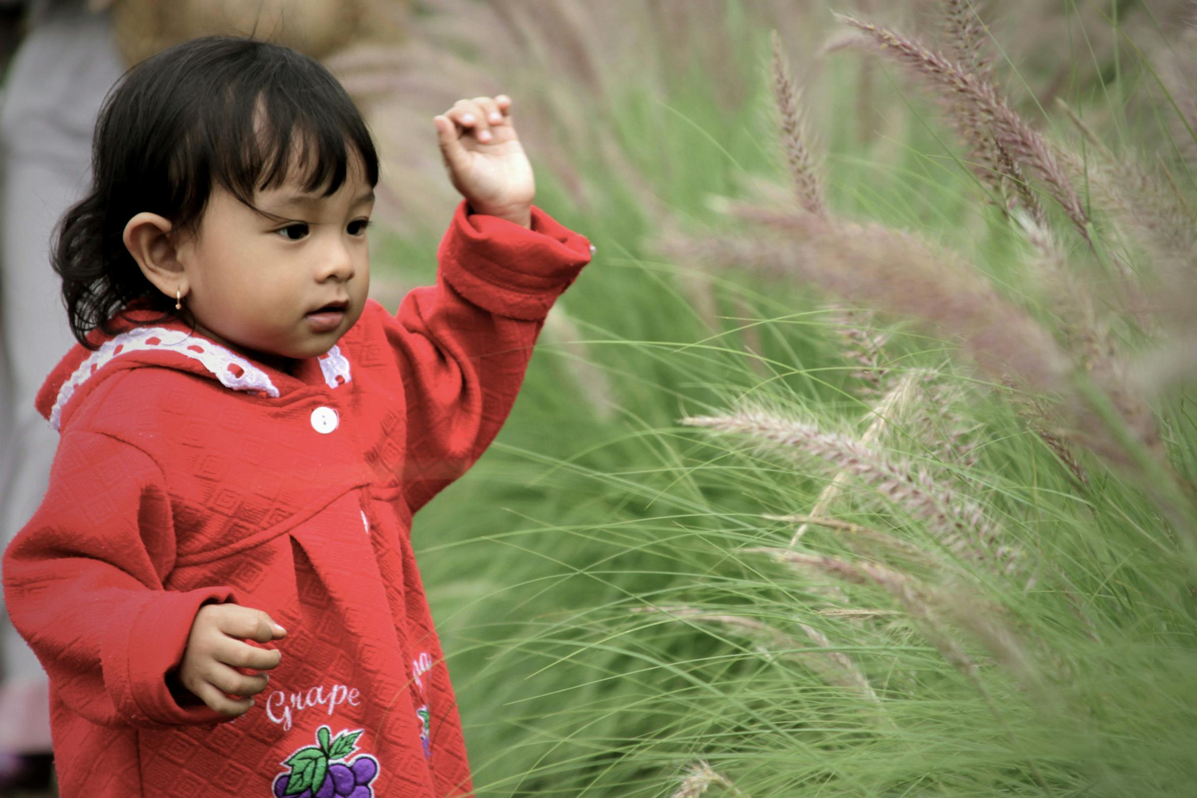 Foto Stok Gratis Tentang Anak Kecil